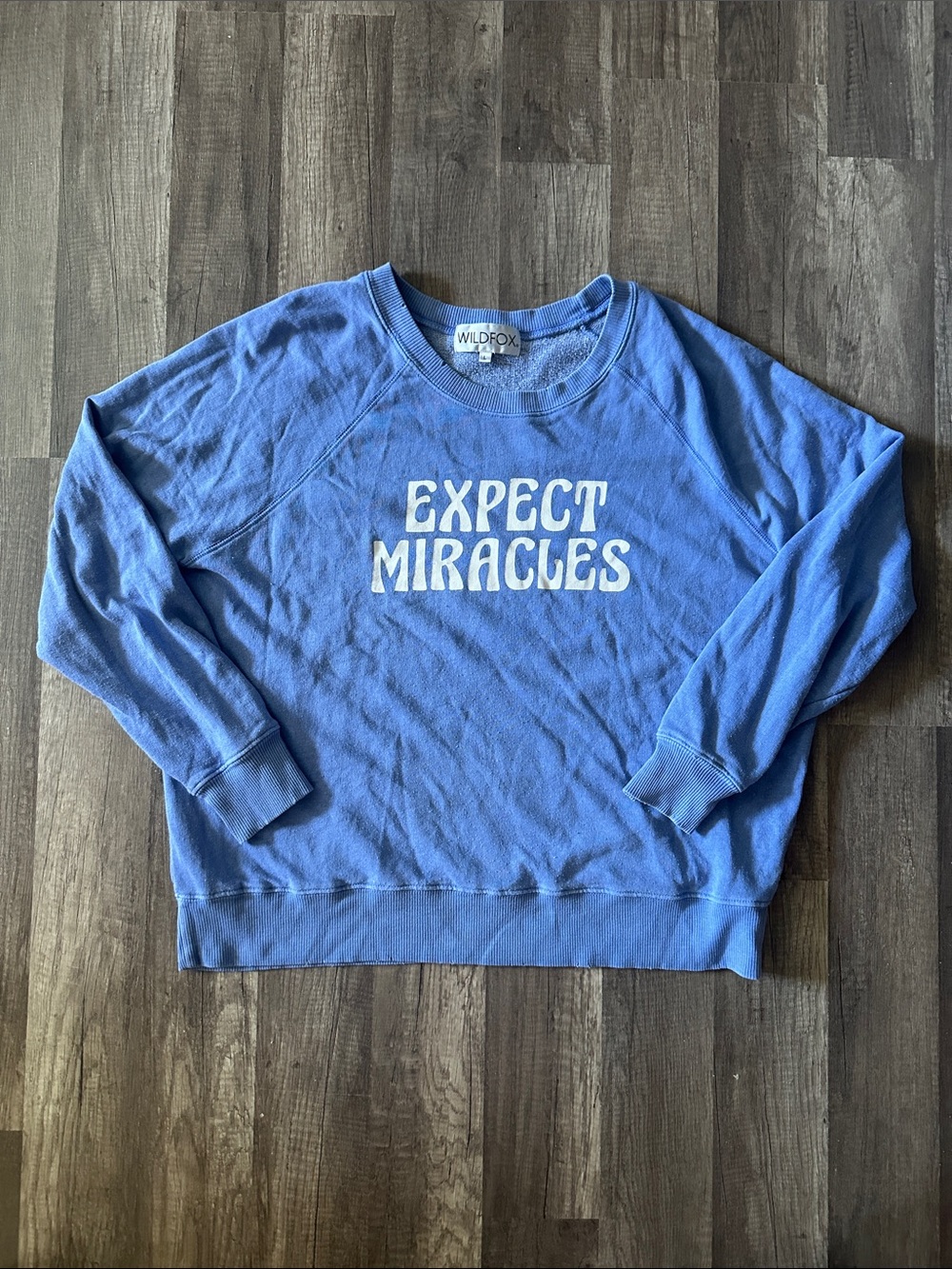 Women’s Wildfox Thin Sweatshirt in size Large